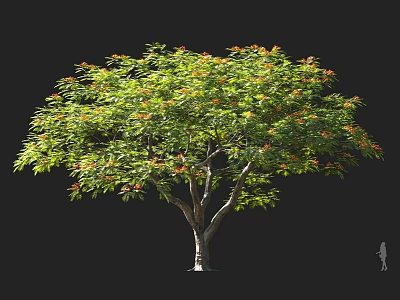 Tall Arbor Tree With Lush Green Foliage And Orange Blossoms Featuring Small Scale Figure 3d model