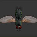 3D Rendered Fly With Red Eyes Green Yellow Body And Transparent Wings Detailed Legs