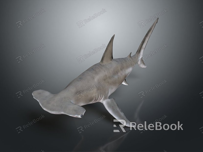 shark great white shark whale shark hammerhead shark tiger head shark man-eating shark blue shark coral red coral white coral model