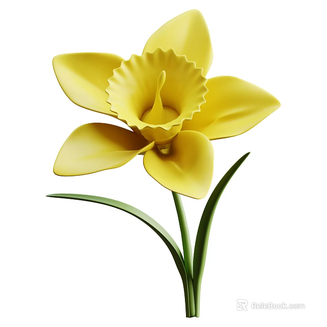 Vibrant Yellow Daffodil Flower With Fresh Green Stem And Leaves Isolated On White Background 3d model 