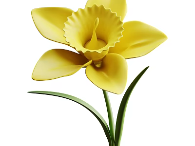 Vibrant Yellow Daffodil Flower With Fresh Green Stem And Leaves Isolated On White Background 3d model