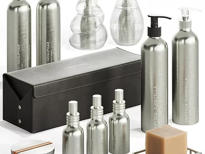 Daily Washing Essentials Silver Bottles Soap Dispensers and Storage Box 3d model