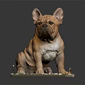 Brown French Bulldog Sitting On Platform With Green And White Patterns
