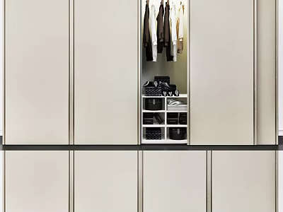 Modern Wardrobe Interior Design With Light Colored Panels Hanging Clothes And Storage Compartments 3d model