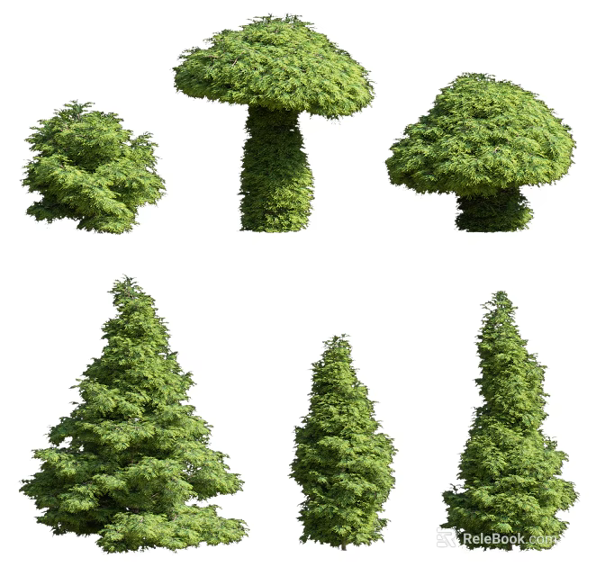 Different Types Of Green Arbor Trees With Various Shapes And Dense Foliage 3d model 