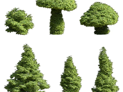 Different Types Of Green Arbor Trees With Various Shapes And Dense Foliage 3d model