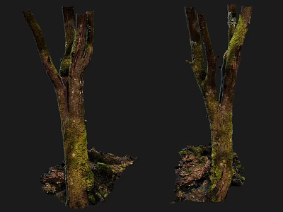 Natural Tree Trunks With Moss Covered Wood And Stone Roots Structure 3d model