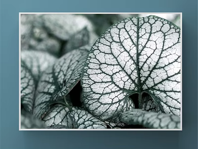 Artistic Plant Painting With Detailed Leaf Veins And Wall Decor Design 3d model