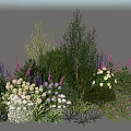 Colorful Garden Plant Combination With Purple White Flowers Green Shrubs And Herbs