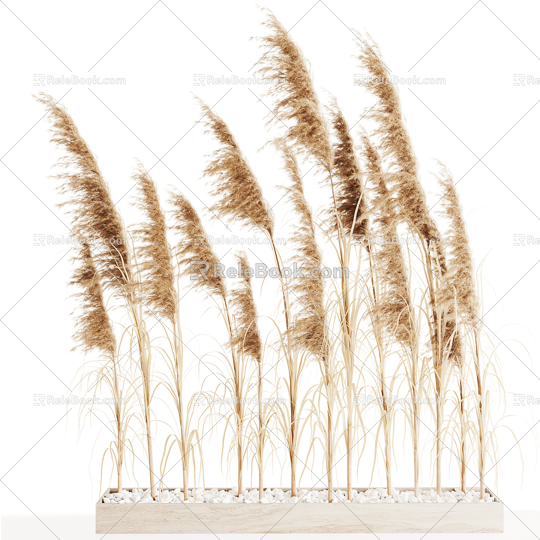 Modern Reed Reed Grass Ornaments Dry Branches Indoor Plants 3d model