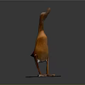 Wooden Duck Sculpture Carving With Standing Pose And White Base