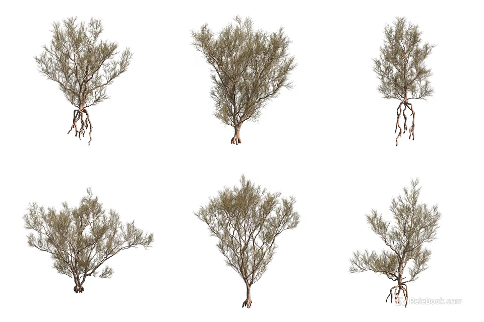 Various Tree Specimens with Exposed Root Systems and Lush Foliage 3d model