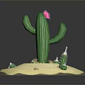 Green Cactus with Pink Flower on Sandy Ground Surrounded by Small Cacti