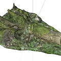 Natural Forest Ground With Moss Covered Stones And Wooden Logs