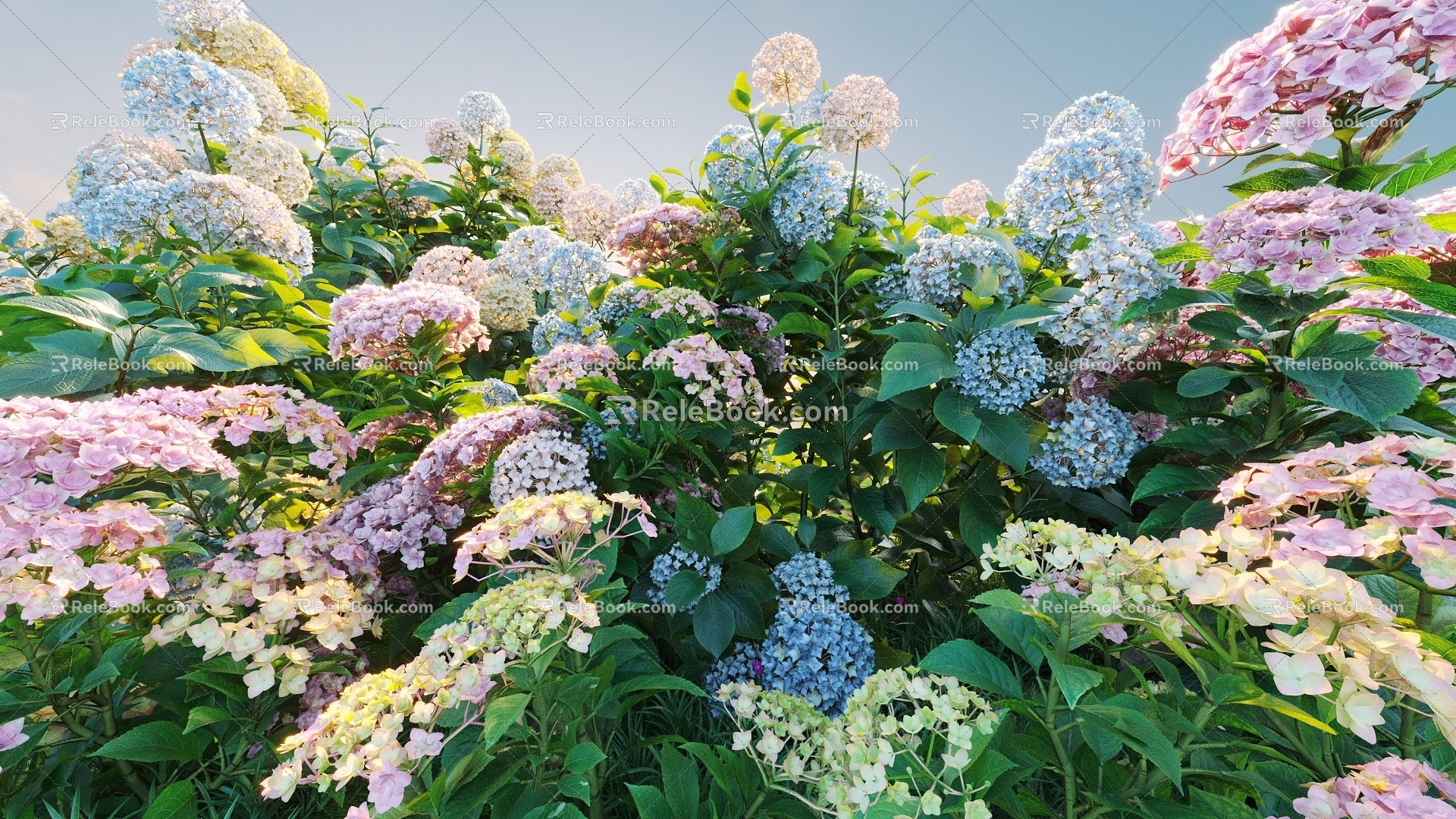 Flowers and plants combination landscape shrubs shrubs plant combination natural landscape hydrangea 3d model