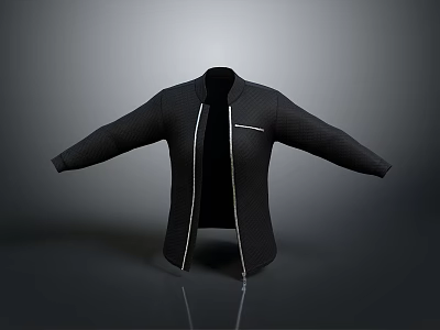 Black Jacket With Zip Closure And Textured Pattern For Daily Use 3d model