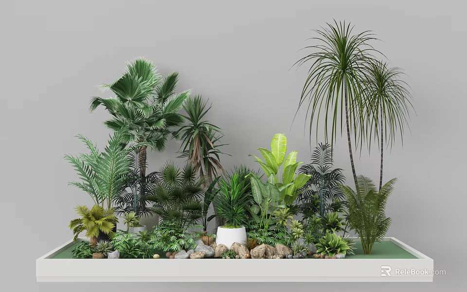 Lush Garden Landscape With Diverse Plants Palm Trees Ferns Green Foliage And Stones 3d model 