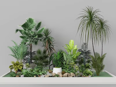 Lush Garden Landscape With Diverse Plants Palm Trees Ferns Green Foliage And Stones 3d model