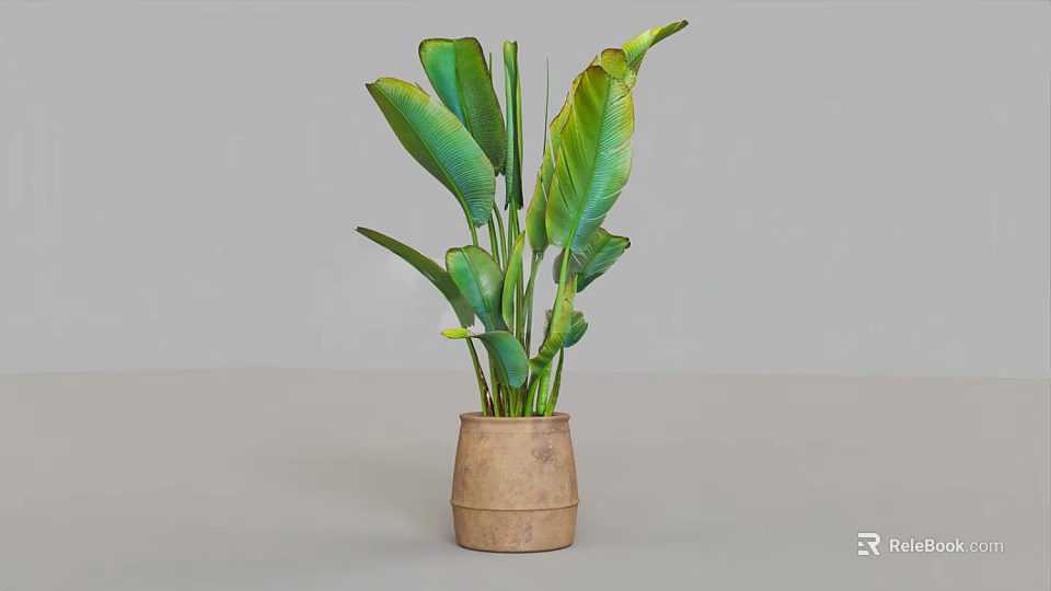 Decorative Potted Plant With Large Green Leaves In Rustic Brown Pot 3d model 
