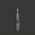 Lifelike Shark Model With Open Mouth Sharp Teeth And Streamlined Body