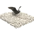 Flying Animal Pigeon Spreading Wings Standing on White Pebbles Surface