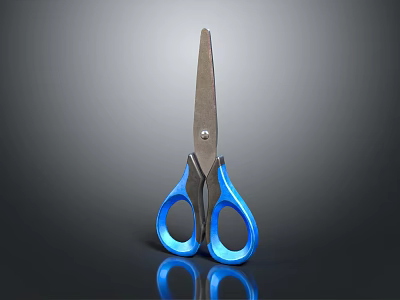 Durable Hardware Tool Scissors With Blue Handles And Metal Blades 3d model