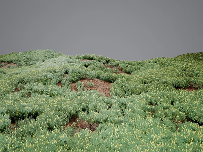 Lush Green Hillside Covered With Flowers And Plants Dotted With Yellow Blossoms 3d model