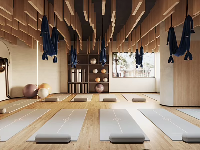 Yoga Fitness Studio With Mats Swings And Wooden Interiors 3d model