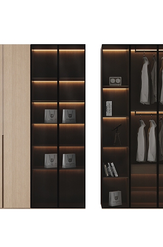 Wardrobe Glass Wardrobe Minimalist Wardrobe 3d model