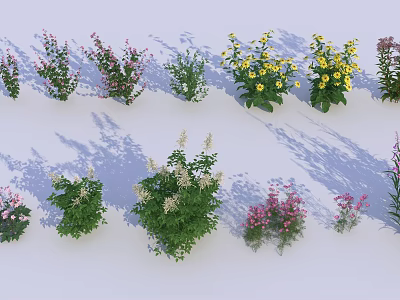 Colorful Flowering Shrubs with Pink Yellow Purple Blooms Arranged on White Background with Shadow Effects 3d model