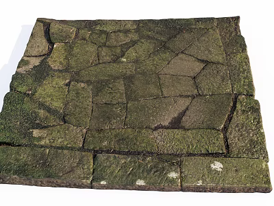 Moss Covered Stone Paved Ground With Irregular Shaped Bricks And Natural Texture 3d model