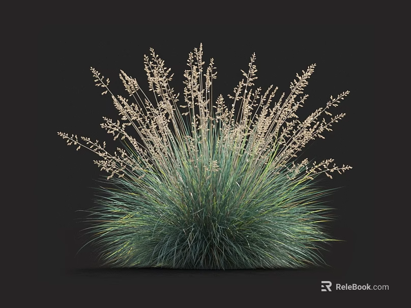Vibrant Green Herbaceous Plant With Delicate White Flower Spikes And Lush Foliage 3d model 