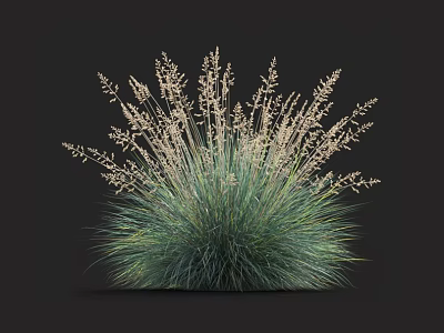 Vibrant Green Herbaceous Plant With Delicate White Flower Spikes And Lush Foliage 3d model