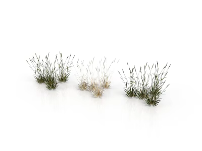 Natural Grass Clumps Landscape Decor Elements With Green And Dry Varieties And Realistic Textures 3d model