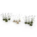 Natural Grass Clumps Landscape Decor Elements With Green And Dry Varieties And Realistic Textures
