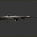 Silver Fish With Red Fins And Metallic Scales On Body