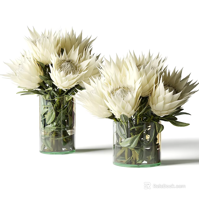White Protea Flowers Arranged in Transparent Glass Vases with Green Leaves 3d model 