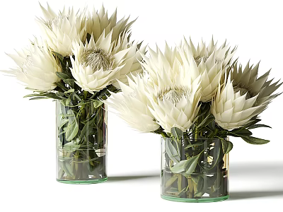White Protea Flowers Arranged in Transparent Glass Vases with Green Leaves 3d model