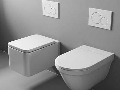 Modern toilet model