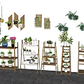 Wooden Plant Stands With Various Potted Plants For Indoor Home Decor