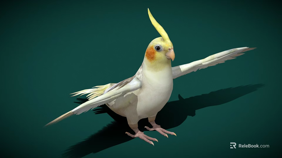 White Cockatiel with Yellow Crest and Orange Cheeks Spreading Wings on Green Background 3d model 