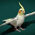 Modern Xuan Feng Parrot 3d model