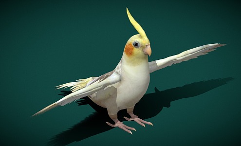 Modern Xuan Feng Parrot 3d model