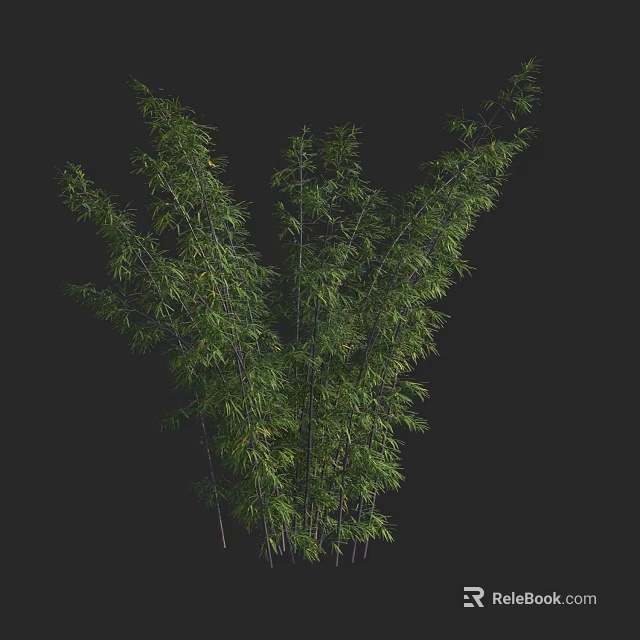 Lush Green Bamboo Plants With Tall Stems And Vibrant Leaves 3d model 