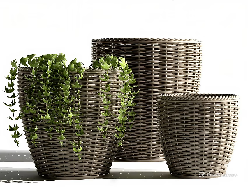 Bonsai Potted Plants In Wicker Planters With Green Trailing Foliage 3d model 