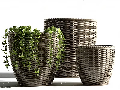 Bonsai Potted Plants In Wicker Planters With Green Trailing Foliage 3d model