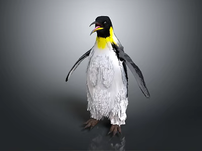 Penguin With Black Head Yellow Throat And White Feather Texture On Gray Background 3d model