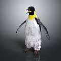 Penguin With Black Head Yellow Throat And White Feather Texture On Gray Background