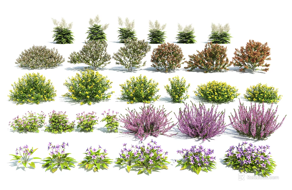 Various Types of Garden Flowers and Shrubs with Different Colors and Shapes 3d model 