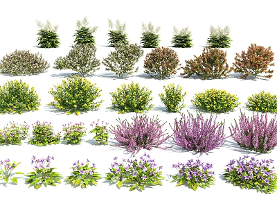 Various Types of Garden Flowers and Shrubs with Different Colors and Shapes 3d model